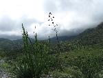 Summer Storm Clouds