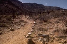 Part of the trail to the park