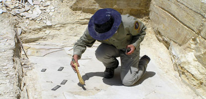 paleontology in action