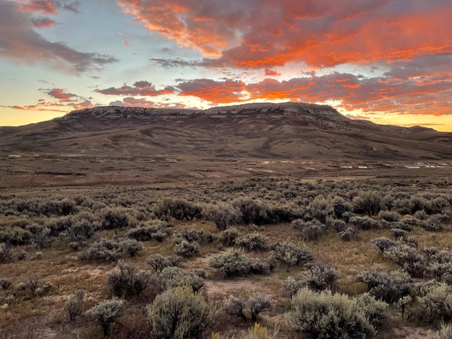 Fossil Butte with the sun rising. The clouds above are pink.