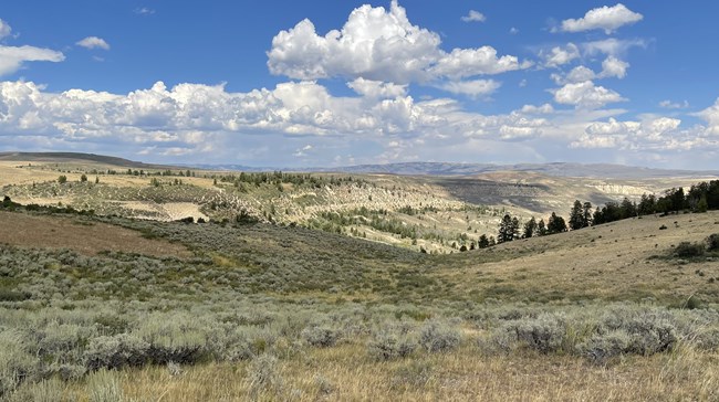 Sagebrush dot the foreground while in the distance stretch tree-topped ridges.
