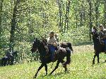 CSA Cavalry