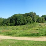 Fort Dupont Park