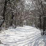 CWDW Winter 2011