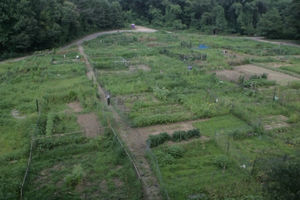 Fort Dupont Community Garden