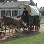 Mule-drawn Wagon