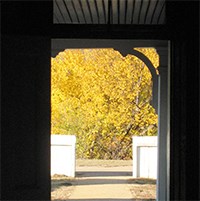 Tree with yellow leaves through a doorway.