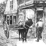 Man with donkey cart