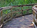 Deteriorated wood on hand-railings and decking