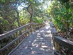 Newly constructed boardwalk.