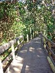 ALmost competed portion of Nature Boardwalk