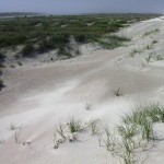 Wind shapes the white sands of Anastasia Island.