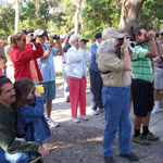Visitors see a large variety of birds on the monthly bird walk.