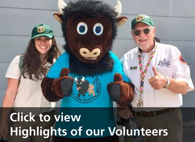 Click to view Highlights of our Volunteers.