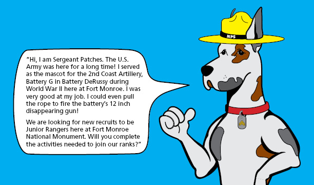 SGT PATCHES ITNRO color ground