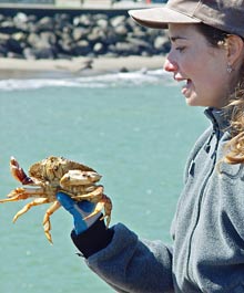 Person holding a crab at the pier-crabbing program.