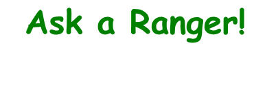 Ask a Ranger!