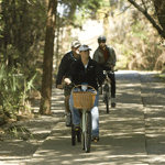 Take a bicycle ride through scenic Cockspur Island