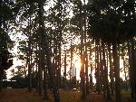 Cockpur Island picnic area