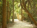 Nature trail