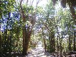 Nature trail