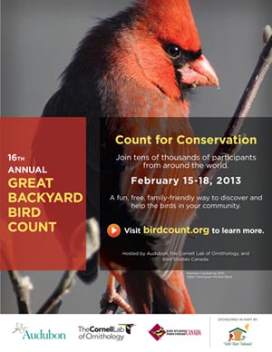 16th Annual Great Backyard Bird Count