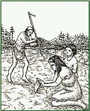 Indians planting and harvesting crops