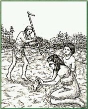 Indians planting and harvesting crops