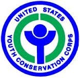 Blue and green YCC logo