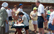 Sign the Declaration of Independence!