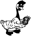 Gregg C. Goose Reads a Journal