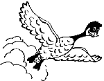 Gregg C. Goose Flies Over the Fort