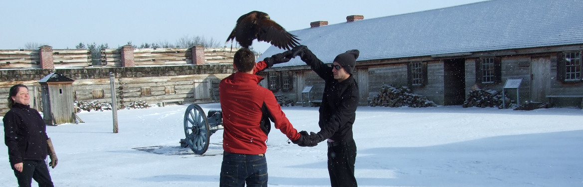 two people hold their hands in a large circle. a large black bird flys through.