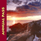Annual Pass 2011, a sunset over a rocky shore, orange light bounces off purple-grey clouds