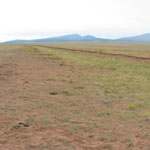 Santa Fe Trail Ruts near Fort Union