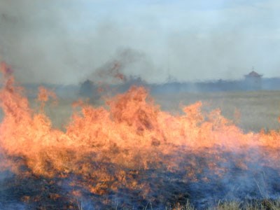 A fire burning through a grassy field with a white walled structure in the distance behind it.