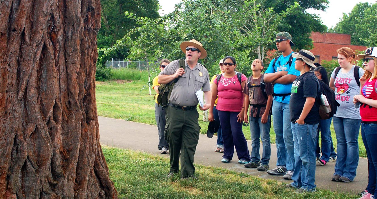 Park Ranger guides students around sequoia tree outdoors