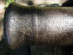 Cannon