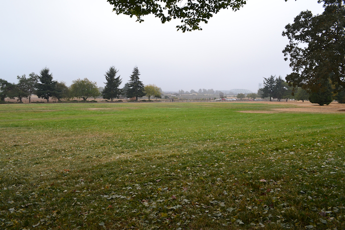 meadow