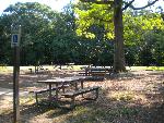 Picture of the table in Area A