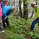 Ranger Guided Trail Walk