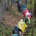Line of walkers going up a hill at Friendship Hill during wildflower walk.