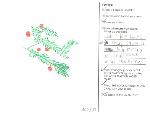 Student Drawing