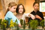 Students Discussing Model Park