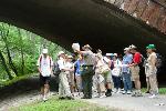 A Walk Along the Emerald Necklace, Riverway, 2010