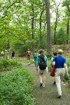 A Walk Along the Emerald Necklace, Franklin Park, 2010