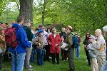 Jamaica Pond: Genius of the Place, southwest side, 2011