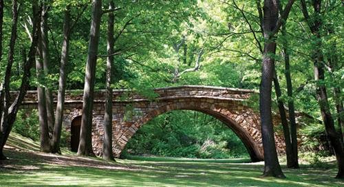 Stone bridge surrounded by trees and grass