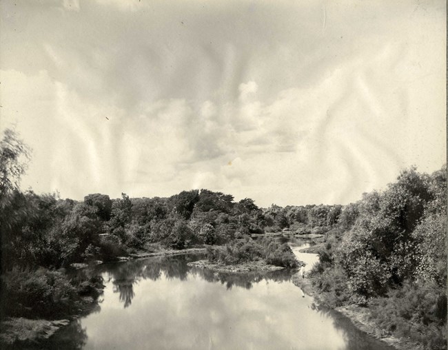 Black and white of body of water with dense foliage on both sides.