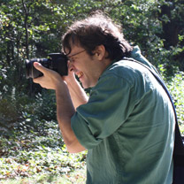 An Intern taking a photograph